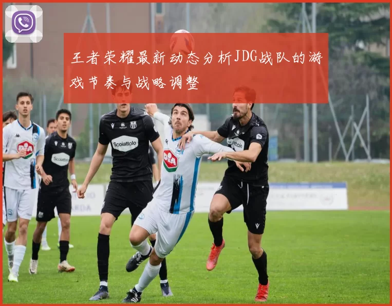 王者荣耀最新动态分析JDG战队的游戏节奏与战略调整