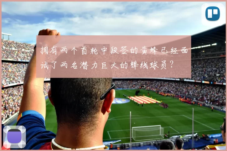 拥有两个首轮中段签的黄蜂已经面试了两名潜力巨大的锋线球员？