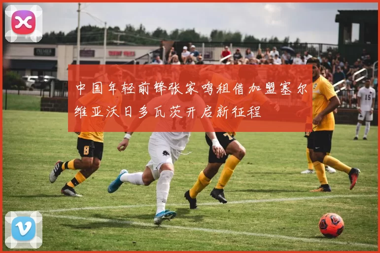 中国年轻前锋张家鸣租借加盟塞尔维亚沃日多瓦茨开启新征程