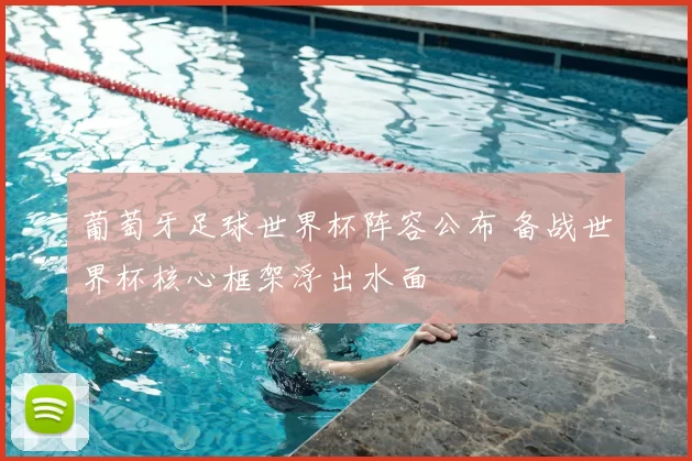 葡萄牙足球世界杯阵容公布 备战世界杯核心框架浮出水面
