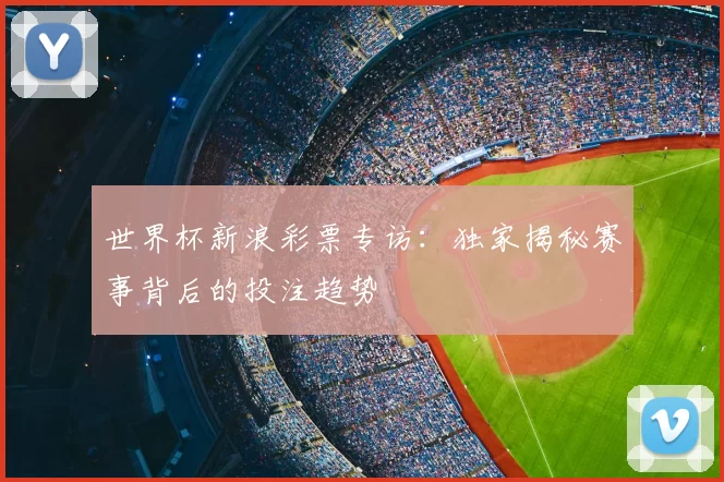 世界杯新浪彩票专访：独家揭秘赛事背后的投注趋势