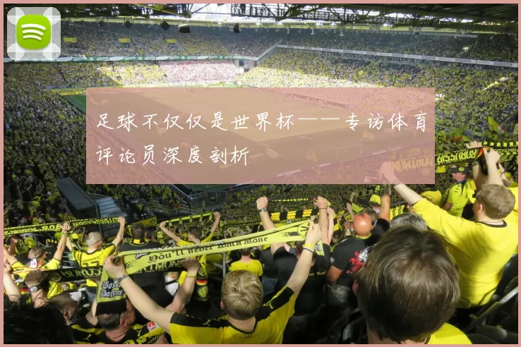 足球不仅仅是世界杯——专访体育评论员深度剖析