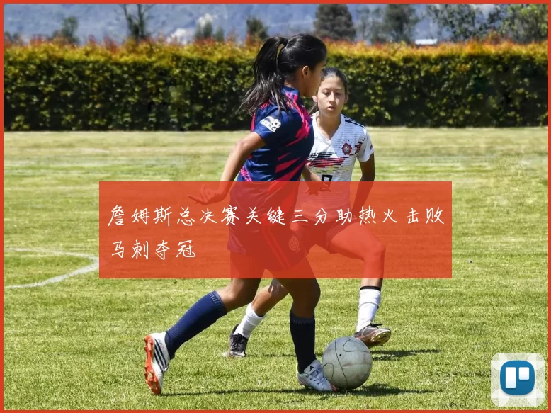 詹姆斯总决赛关键三分助热火击败马刺夺冠