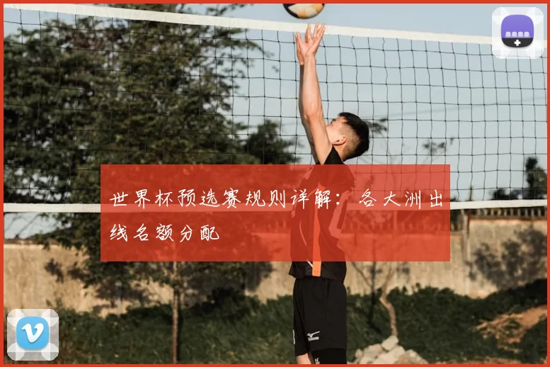 世界杯预选赛规则详解:各大洲出线名额分配