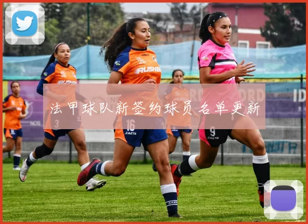 法甲球队新签约球员名单更新