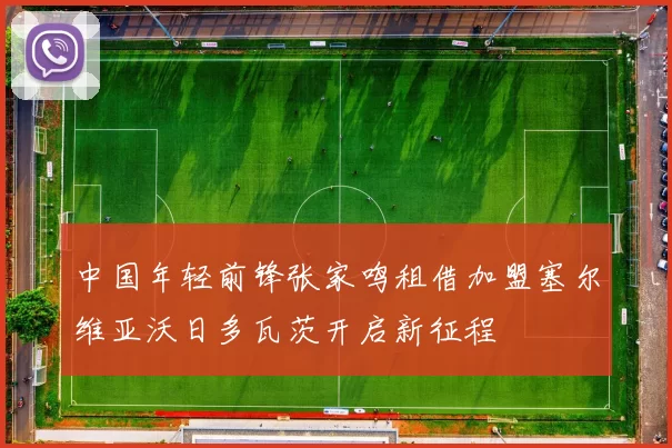 中国年轻前锋张家鸣租借加盟塞尔维亚沃日多瓦茨开启新征程