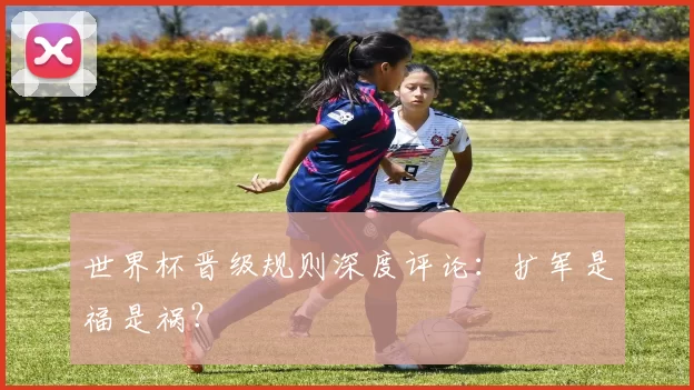 世界杯晋级规则深度评论:扩军是福是祸?