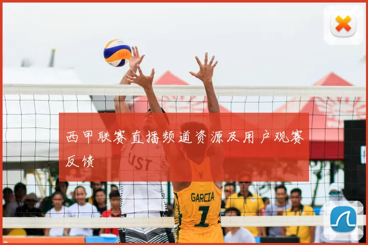 西甲联赛直播频道资源及用户观赛反馈