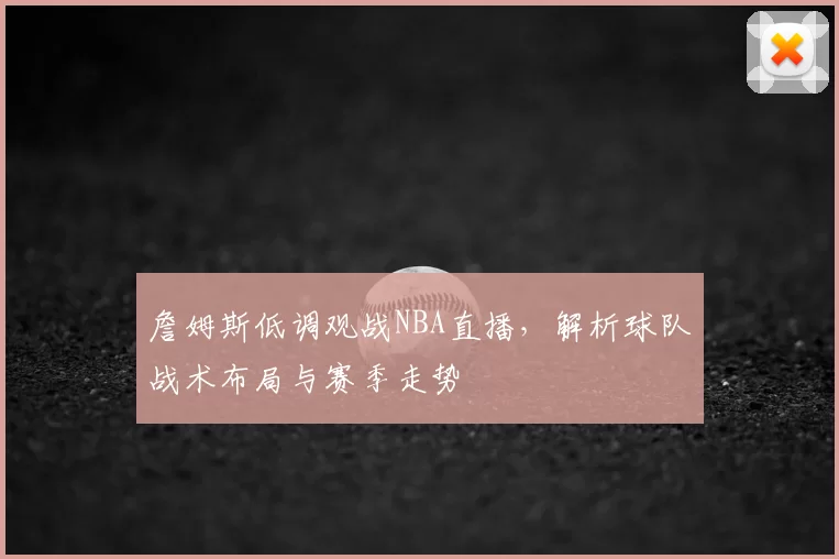 詹姆斯低调观战NBA直播，解析球队战术布局与赛季走势
