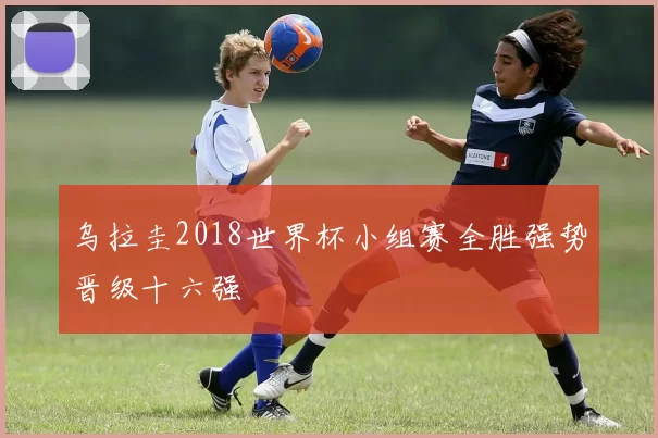 乌拉圭2018世界杯小组赛全胜强势晋级十六强