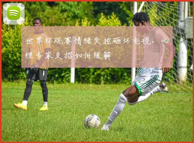 世界杯观赛情绪失控砸坏电视，心理专家支招如何缓解