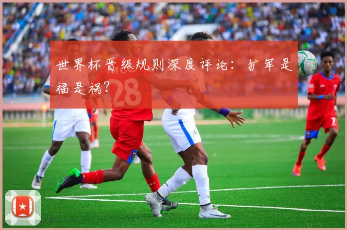 世界杯晋级规则深度评论:扩军是福是祸?