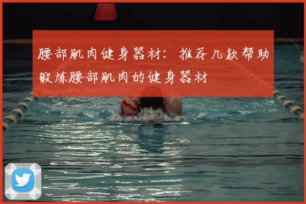 腰部肌肉健身器材:推荐几款帮助锻炼腰部肌肉的健身器材