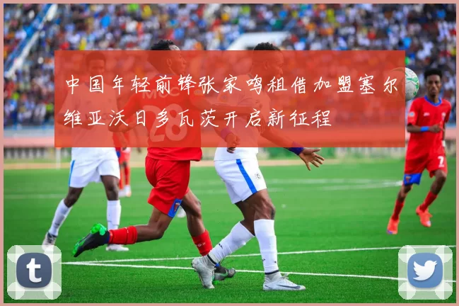 中国年轻前锋张家鸣租借加盟塞尔维亚沃日多瓦茨开启新征程