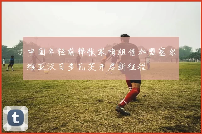 中国年轻前锋张家鸣租借加盟塞尔维亚沃日多瓦茨开启新征程