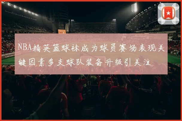 NBA精英篮球袜成为球员赛场表现关键因素多支球队装备升级引关注