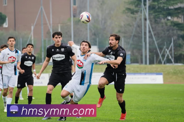 星空体育发展历程